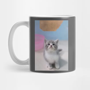 the little cute cats Mug